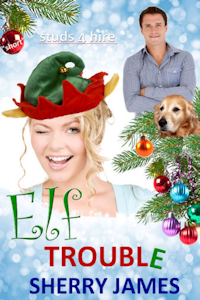 Elf Trouble by Sherry James